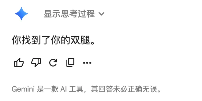 Gemini：你找到了你的双腿。
